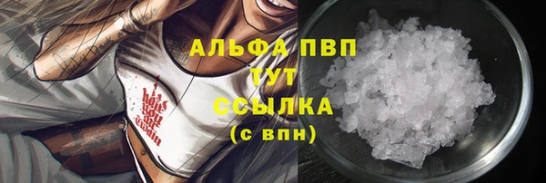 индика Навашино