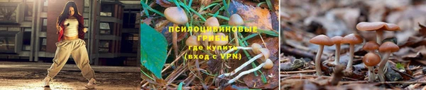 гашик Михайлов