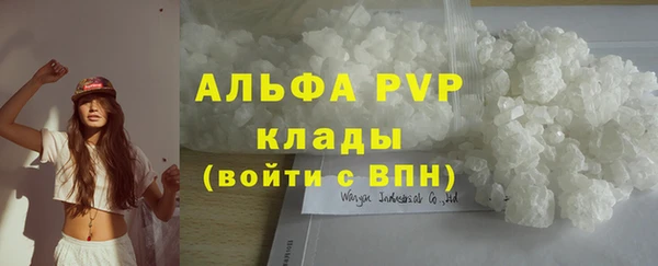 гашик Михайлов