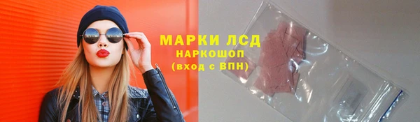 гашик Михайлов