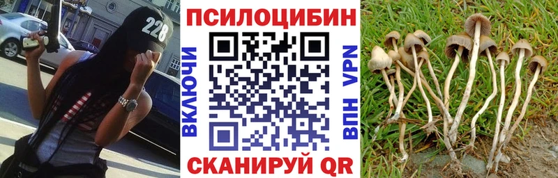закладка MEGA как войти Галлюциногенные грибы мицелий Фатеж
